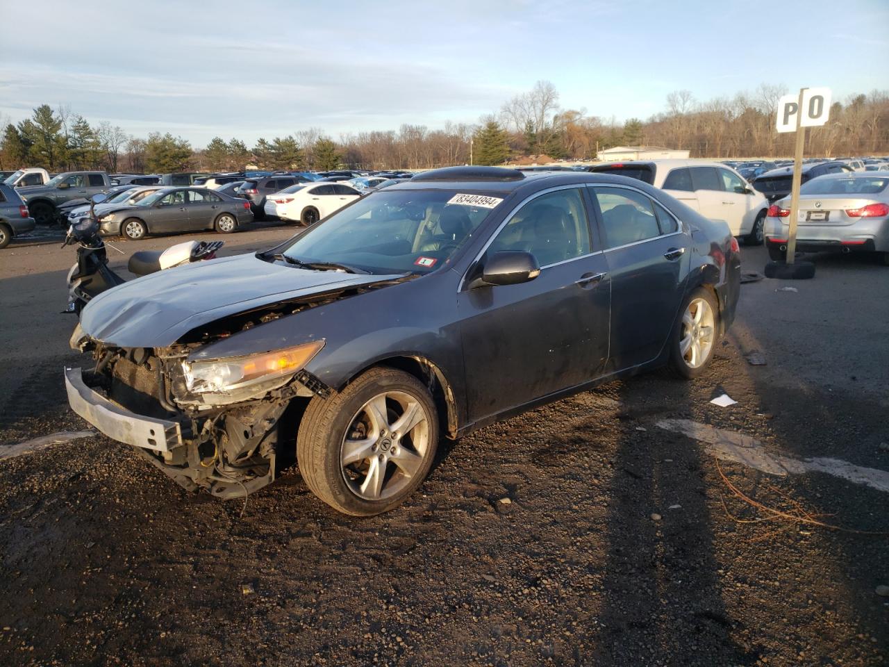 Lot #3033010047 2009 ACURA TSX