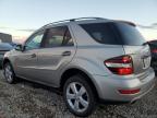 Lot #3024974128 2009 MERCEDES-BENZ ML 350