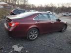 Lot #3024307023 2008 LEXUS ES 350