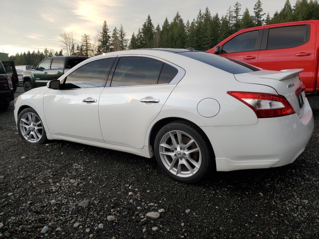 Lot #3029616142 2011 NISSAN MAXIMA S