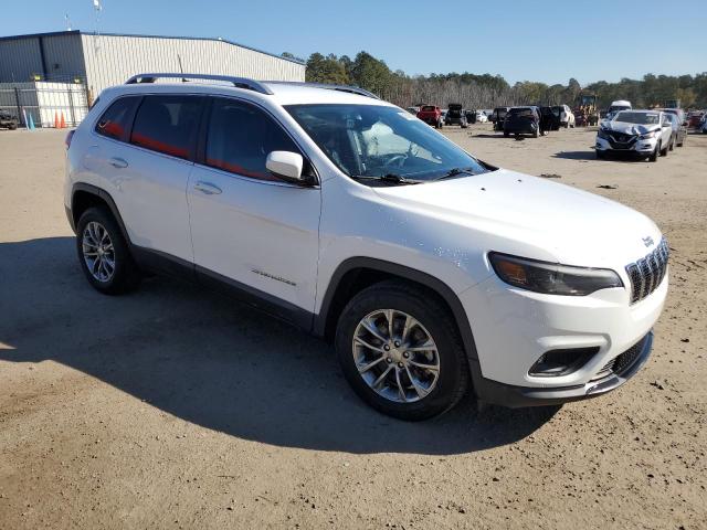 2019 JEEP CHEROKEE L - 1C4PJLLBXKD312204