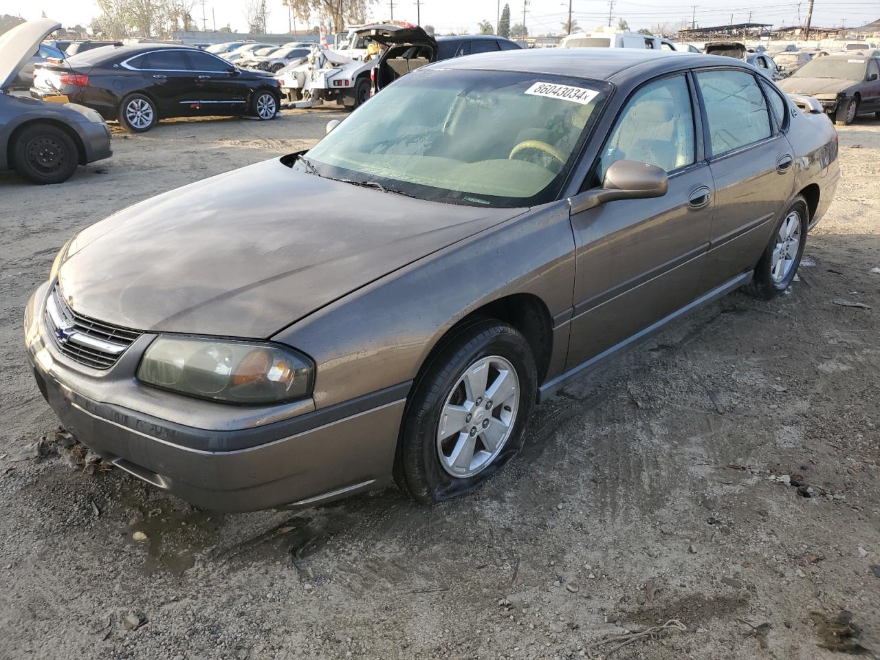 Lot #3032994004 2003 CHEVROLET IMPALA