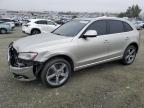 Lot #3030519472 2014 AUDI Q5 TDI PRE