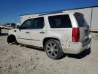 Lot #3034567793 2014 CADILLAC ESCALADE P