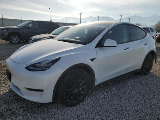 TESLA MODEL Y 2022 white  electric 7SAYGDEE0NF385730 photo #1