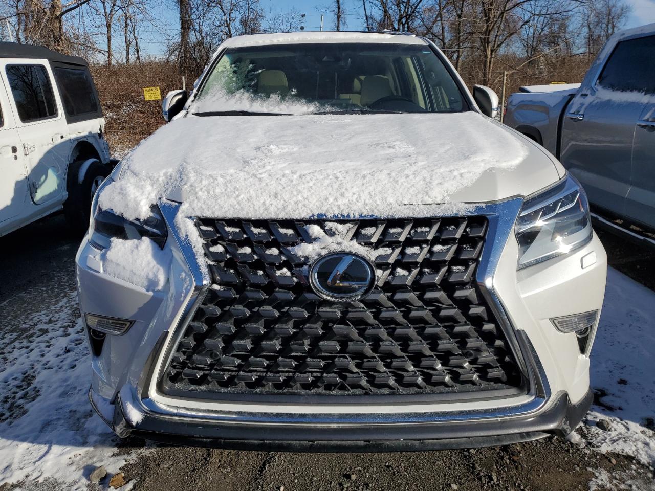 Lot #3050302900 2023 LEXUS GX 460