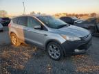 Lot #3025020278 2013 FORD ESCAPE SEL