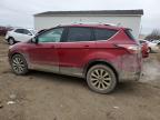 Lot #3030524528 2017 FORD ESCAPE TIT