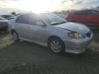 Lot #3027118796 2005 TOYOTA COROLLA CE