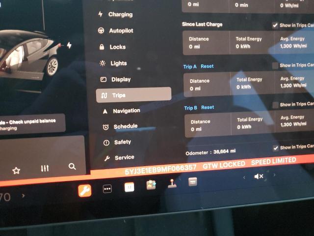 2021 TESLA MODEL 3 - 5YJ3E1EB9MF066357
