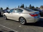 Lot #3305680717 2014 HONDA ACCORD LX