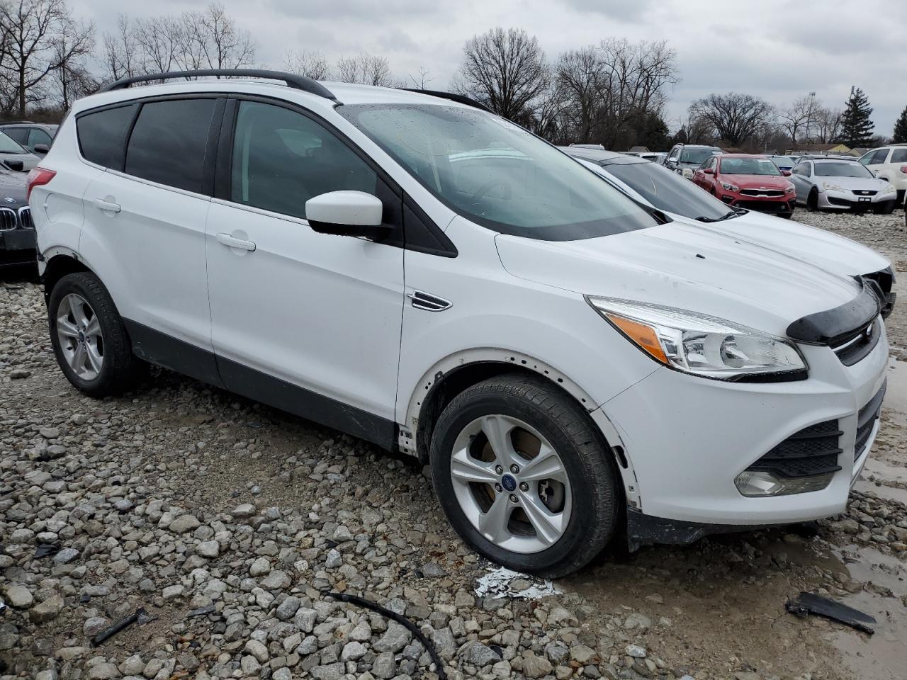 Lot #3034283126 2014 FORD ESCAPE SE