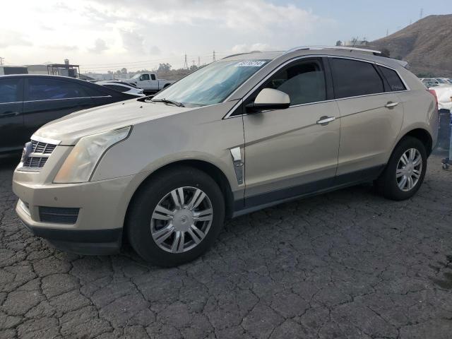 CADILLAC SRX LUXURY 2010 beige  gas 3GYFNAEY4AS500974 photo #1