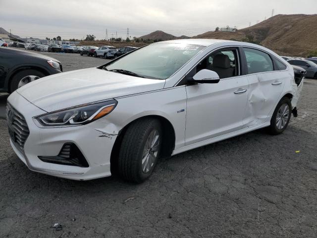 HYUNDAI SONATA HYB 2019 white  hybrid engine KMHE24L38KA088771 photo #1