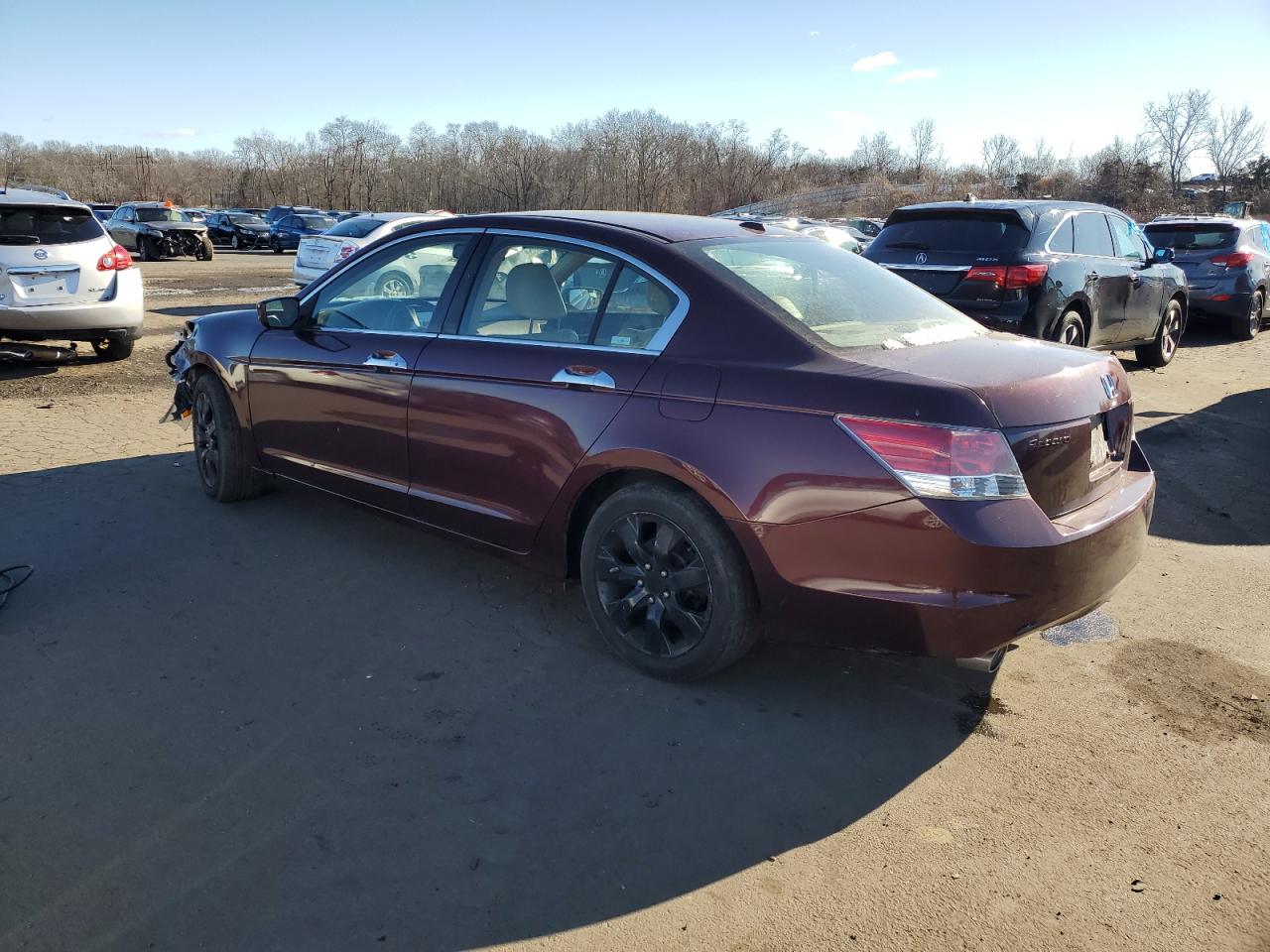 Lot #3033010046 2008 HONDA ACCORD EXL