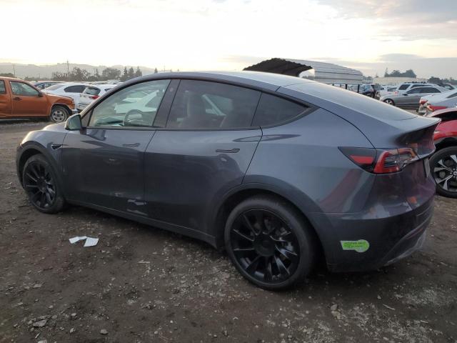 TESLA MODEL Y 2023 gray  electric 7SAYGDEEXPF755939 photo #3