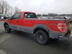 Lot #3024741229 2010 FORD F150