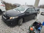 Lot #3024996230 2010 TOYOTA COROLLA BA