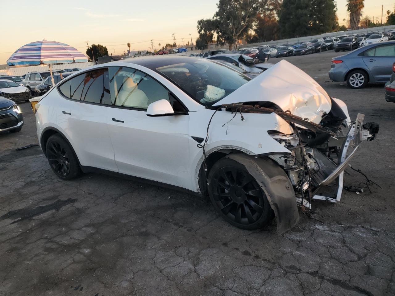 Lot #3030427502 2021 TESLA MODEL Y