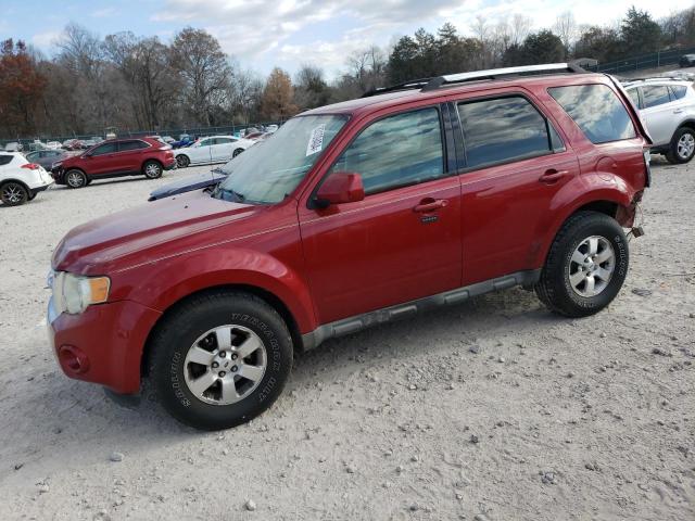 Vin: 1fmcu9egxakc59320, lot: 83109404, ford escape limited 2010 img_1
