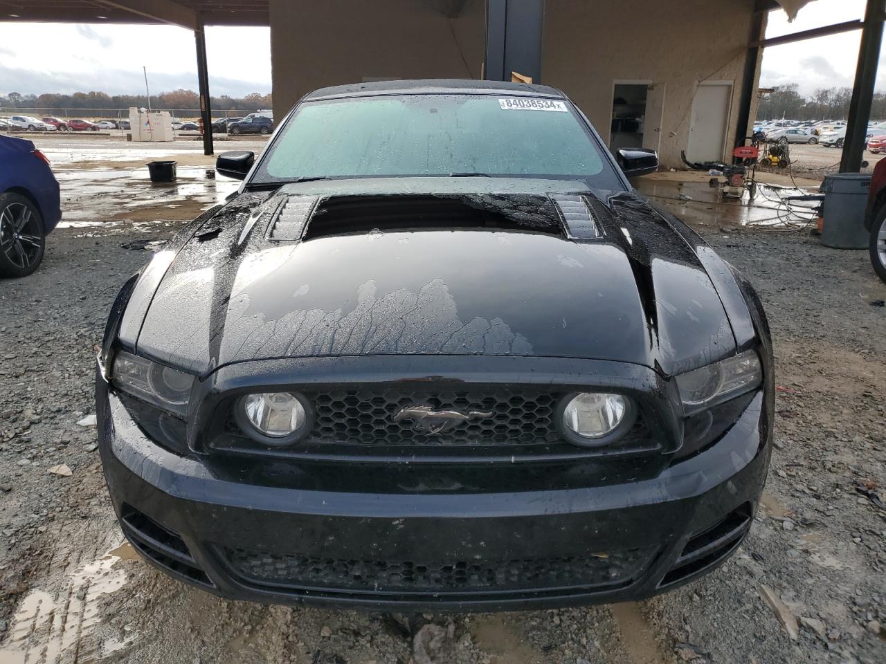 Lot #3027049793 2014 FORD MUSTANG GT