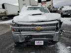 Lot #3033100988 2019 CHEVROLET SILVERADO