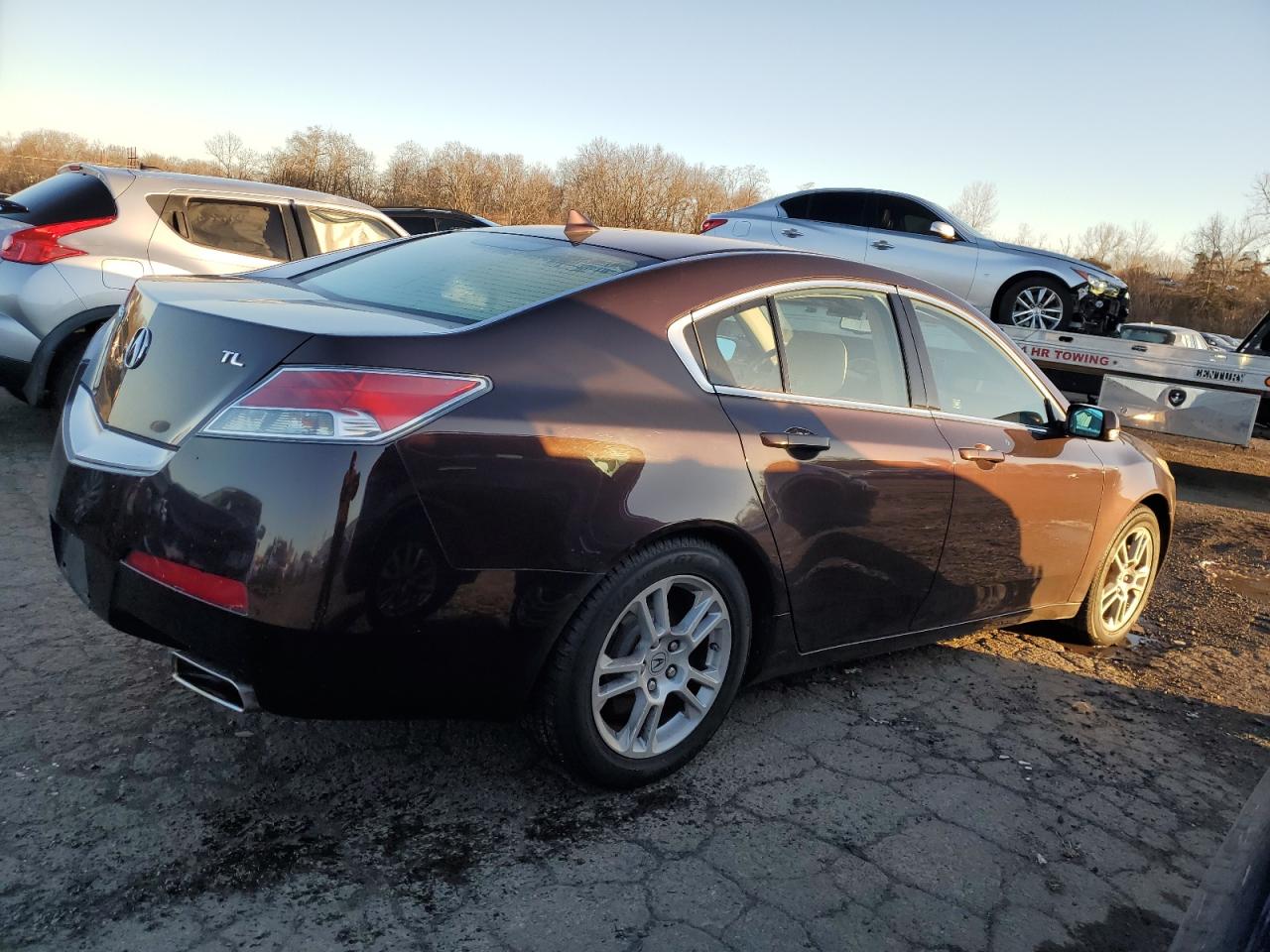 Lot #3034279191 2010 ACURA TL