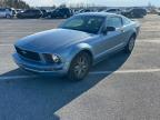 Lot #3033099992 2005 FORD MUSTANG