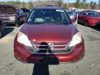 Lot #3025193205 2010 HONDA CR-V EXL