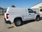 Lot #3024844363 2023 CHEVROLET SILVERADO