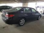 Lot #3025069211 2005 LEXUS ES 330