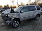 Lot #3024591631 2015 HONDA PILOT EX