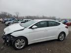 2019 HYUNDAI ELANTRA 4D - 5NPD84LF1KH417621
