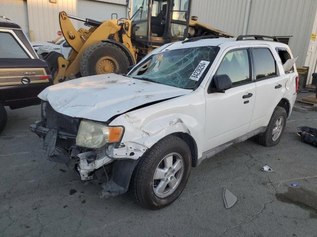 2009 FORD ESCAPE XLT #3045841629