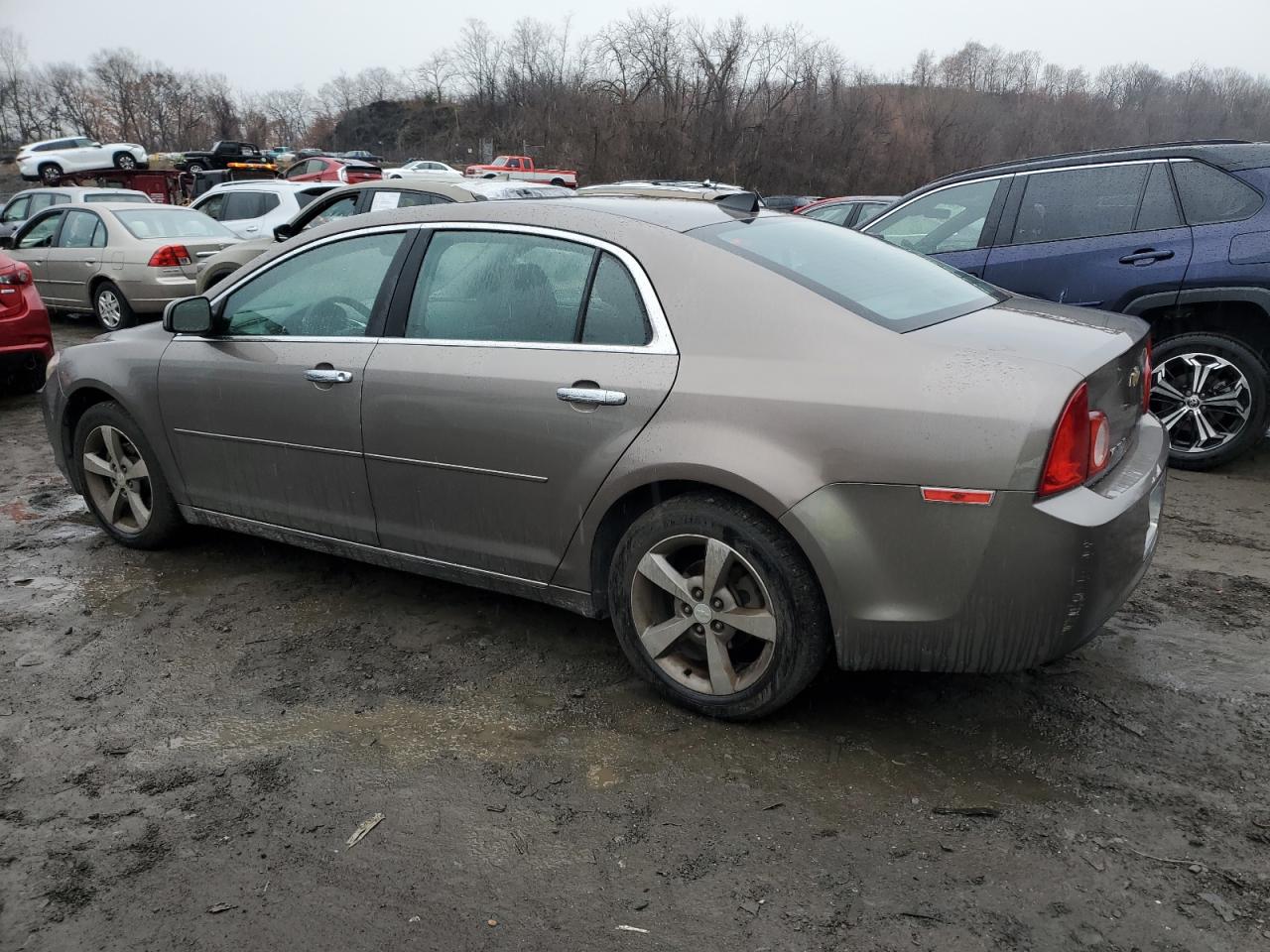 Lot #3024364596 2012 CHEVROLET MALIBU 1LT