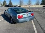 Lot #3033099992 2005 FORD MUSTANG