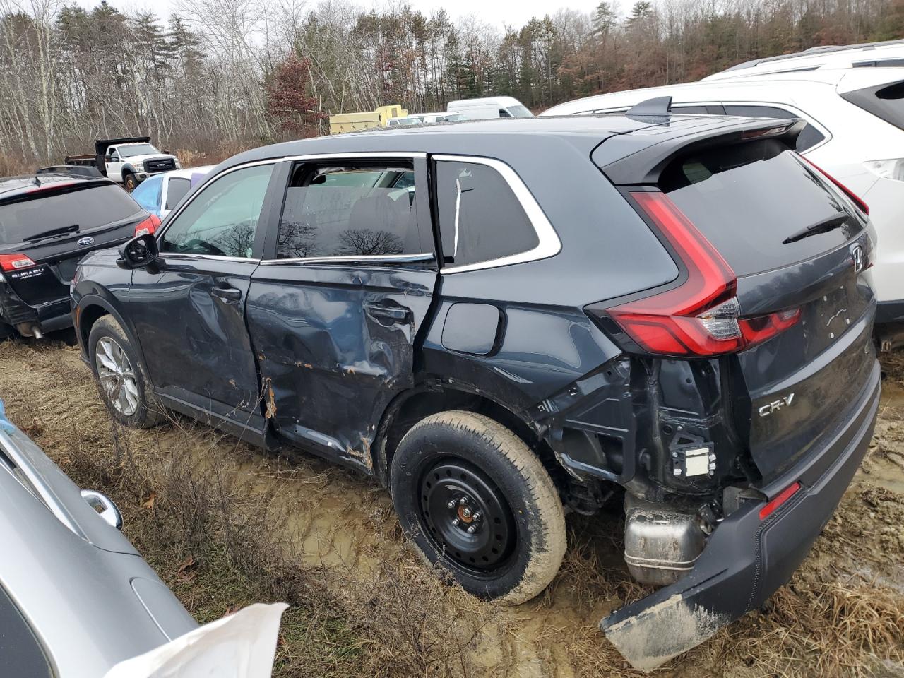 Lot #3033039012 2024 HONDA CR-V EX