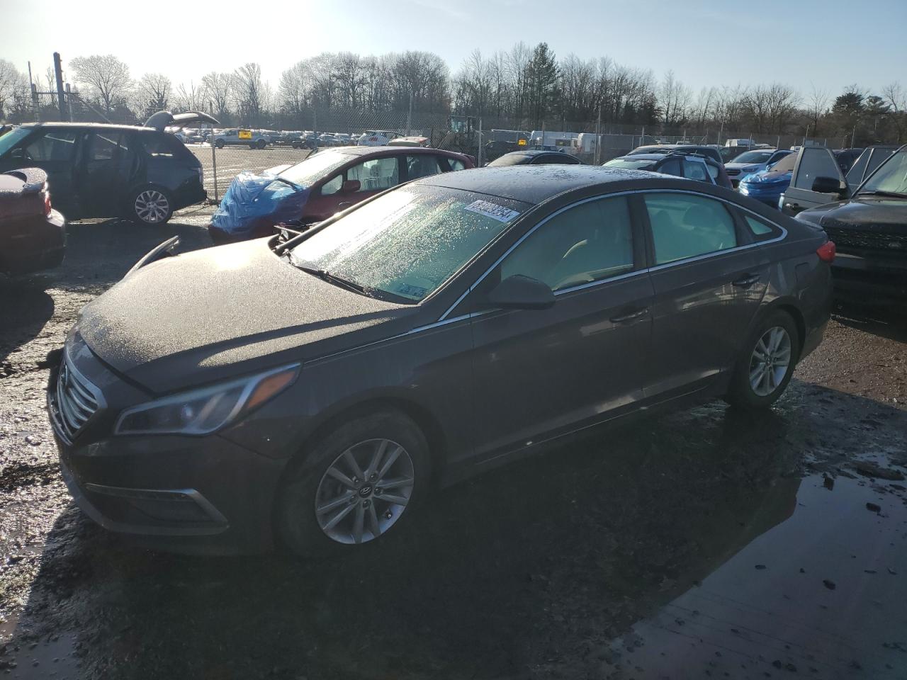 Lot #3033357868 2015 HYUNDAI SONATA SE