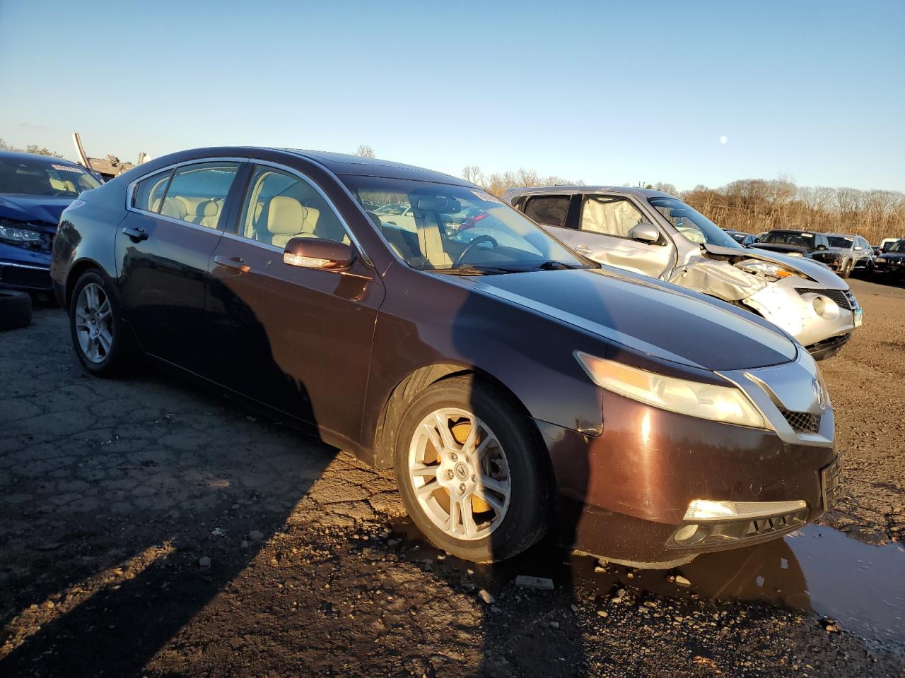 Lot #3034279191 2010 ACURA TL