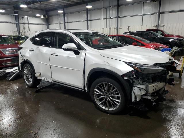 2023 LEXUS NX 350 - JTJHGCEZ8P5004654