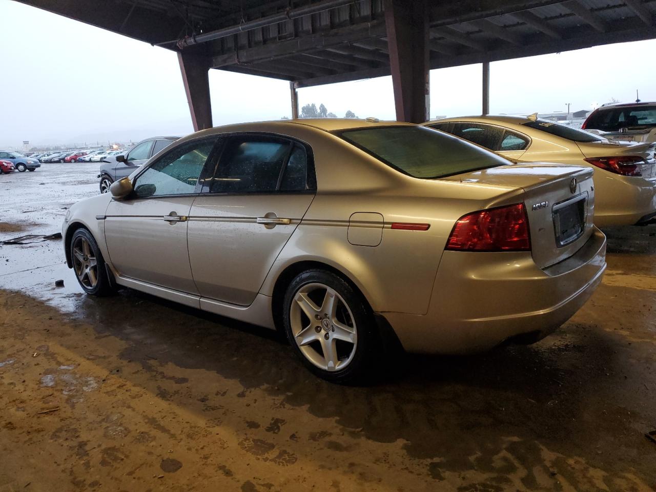 Lot #3029479721 2004 ACURA TL