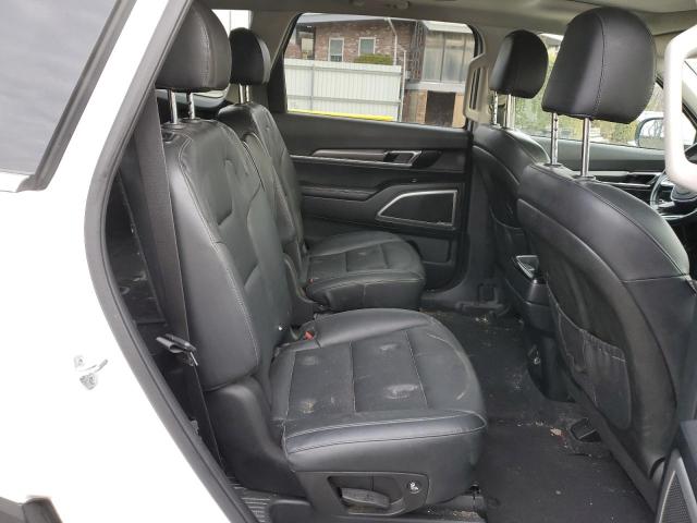 2020 KIA TELLURIDE - 5XYP6DHC6LG033845