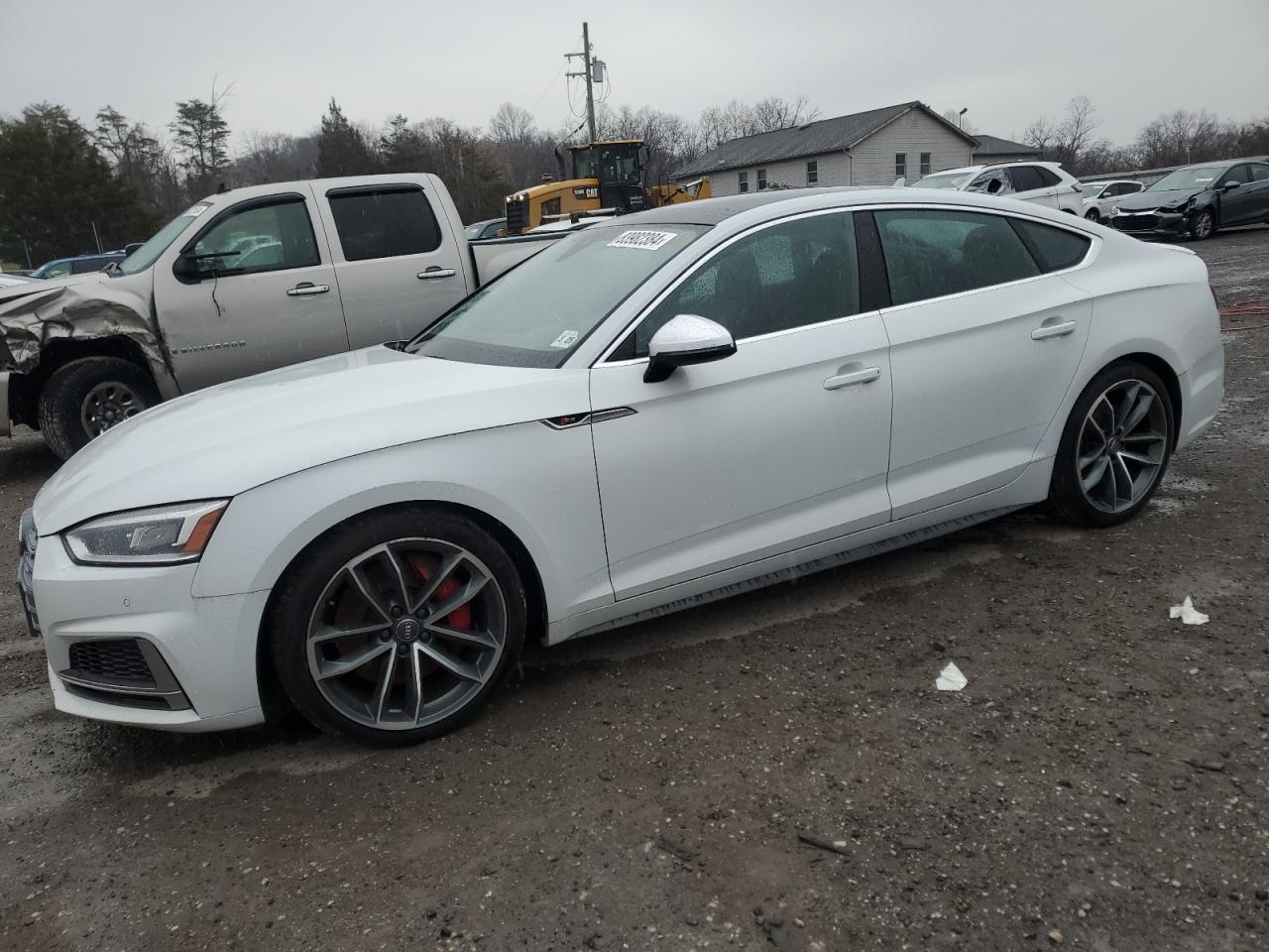 Lot #3024244895 2019 AUDI S5 PREMIUM