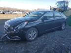 2017 HYUNDAI SONATA SE - 5NPE24AF6HH569041