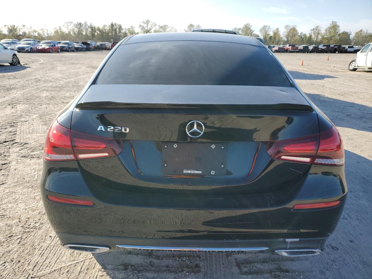 Lot #3024350608 2019 MERCEDES-BENZ A 220