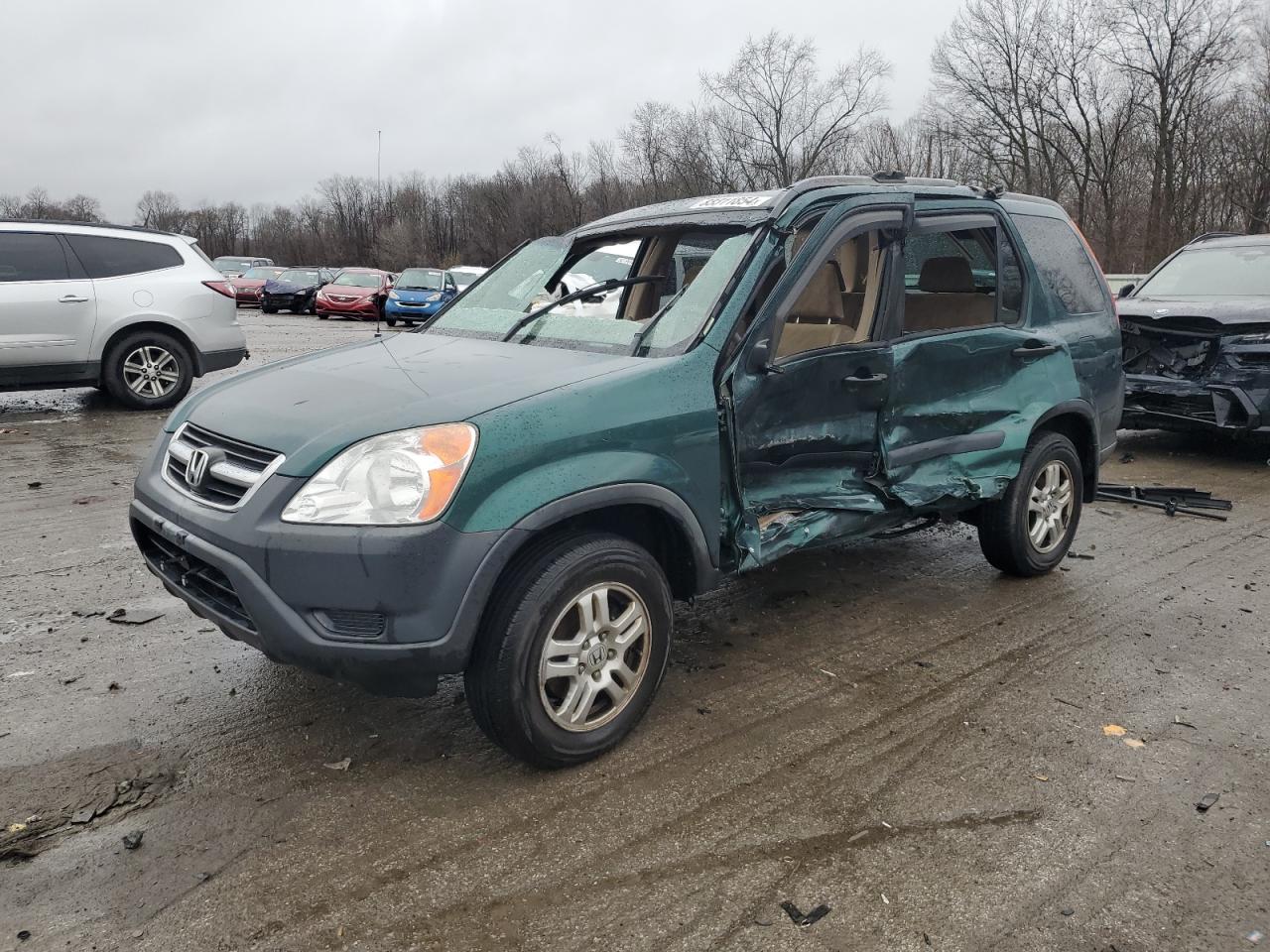 Lot #3027009782 2004 HONDA CR-V EX