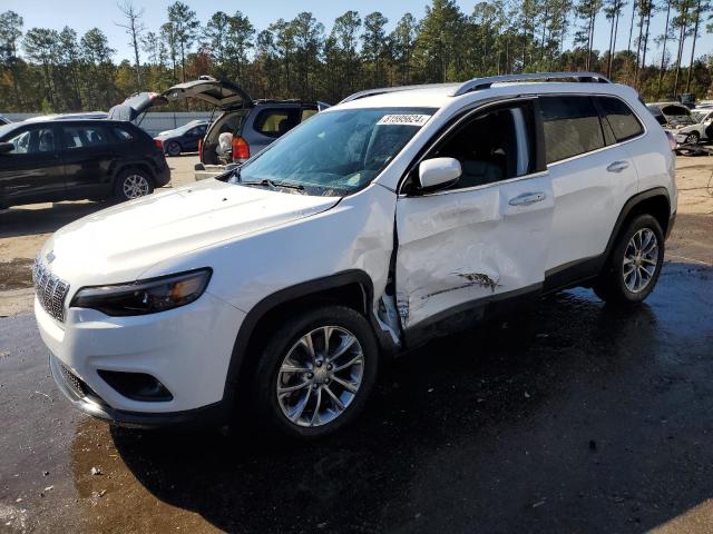 2019 JEEP CHEROKEE L - 1C4PJLLBXKD312204