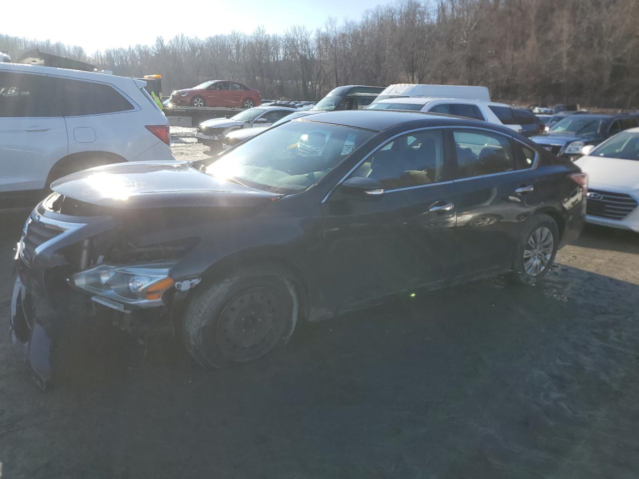 Lot #3034280148 2013 NISSAN ALTIMA