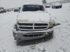 Lot #3050786111 2004 DODGE DAKOTA QUA