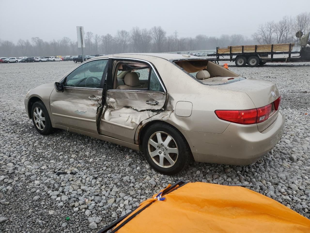 Lot #3037927024 2005 HONDA ACCORD EX